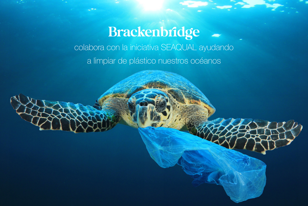 Bracken bridge: Ayudando a mantener limpios nuestros Océanos