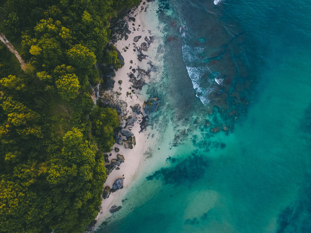 Bracken bridge: Política Cero Excedentes de Stocks.