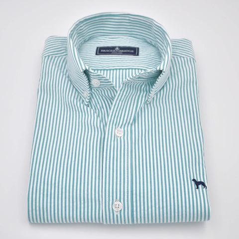 Camisa Bogmyrtle