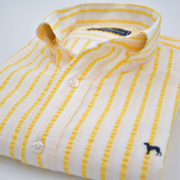 Camisa Irinbru