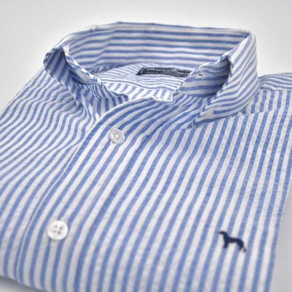 Camisa Wedgwood