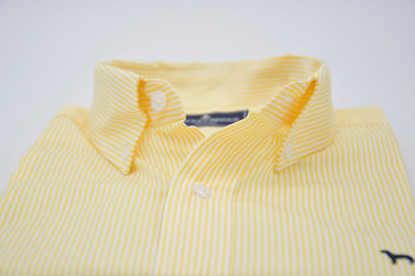 Camisa Popelin raya amarilla Cullen